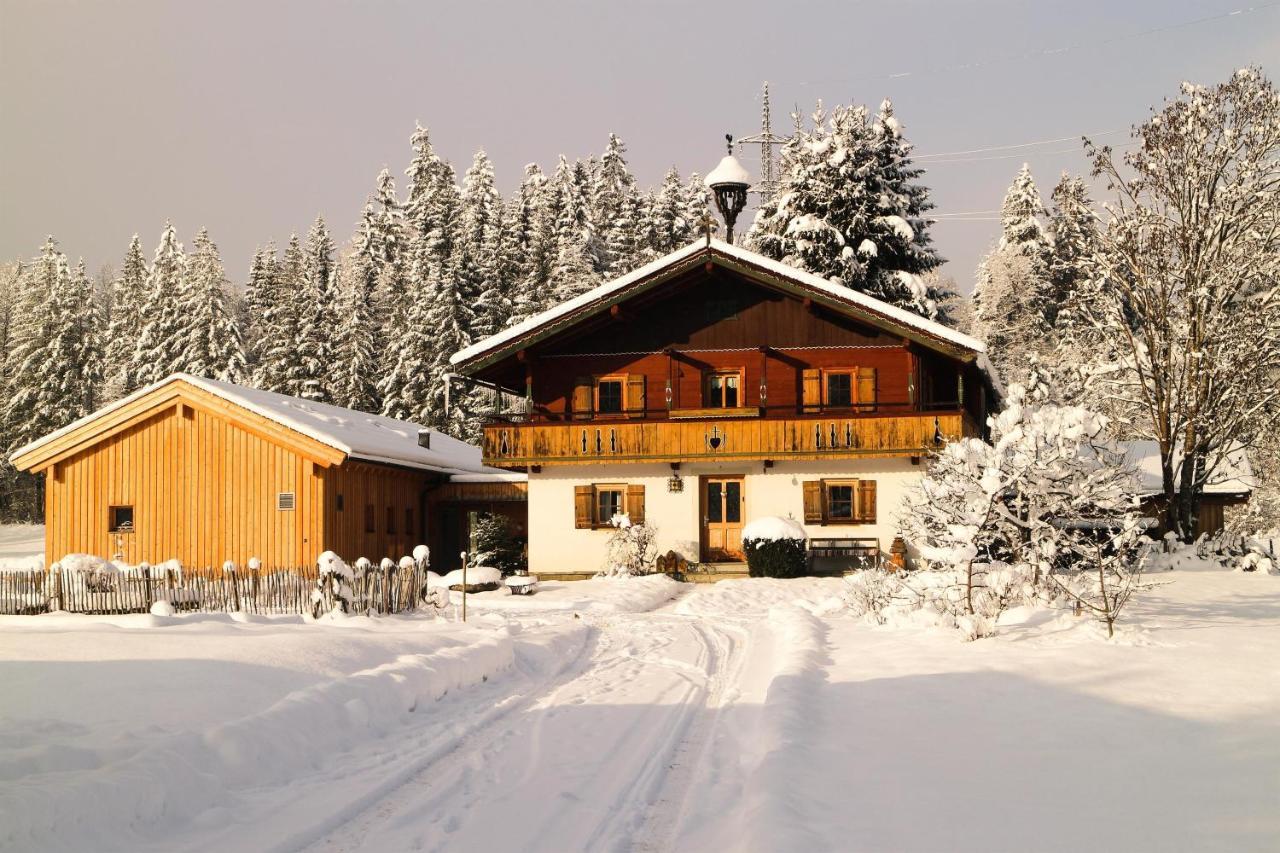 Going Artenreich Going am Wilden Kaiser Exterior foto