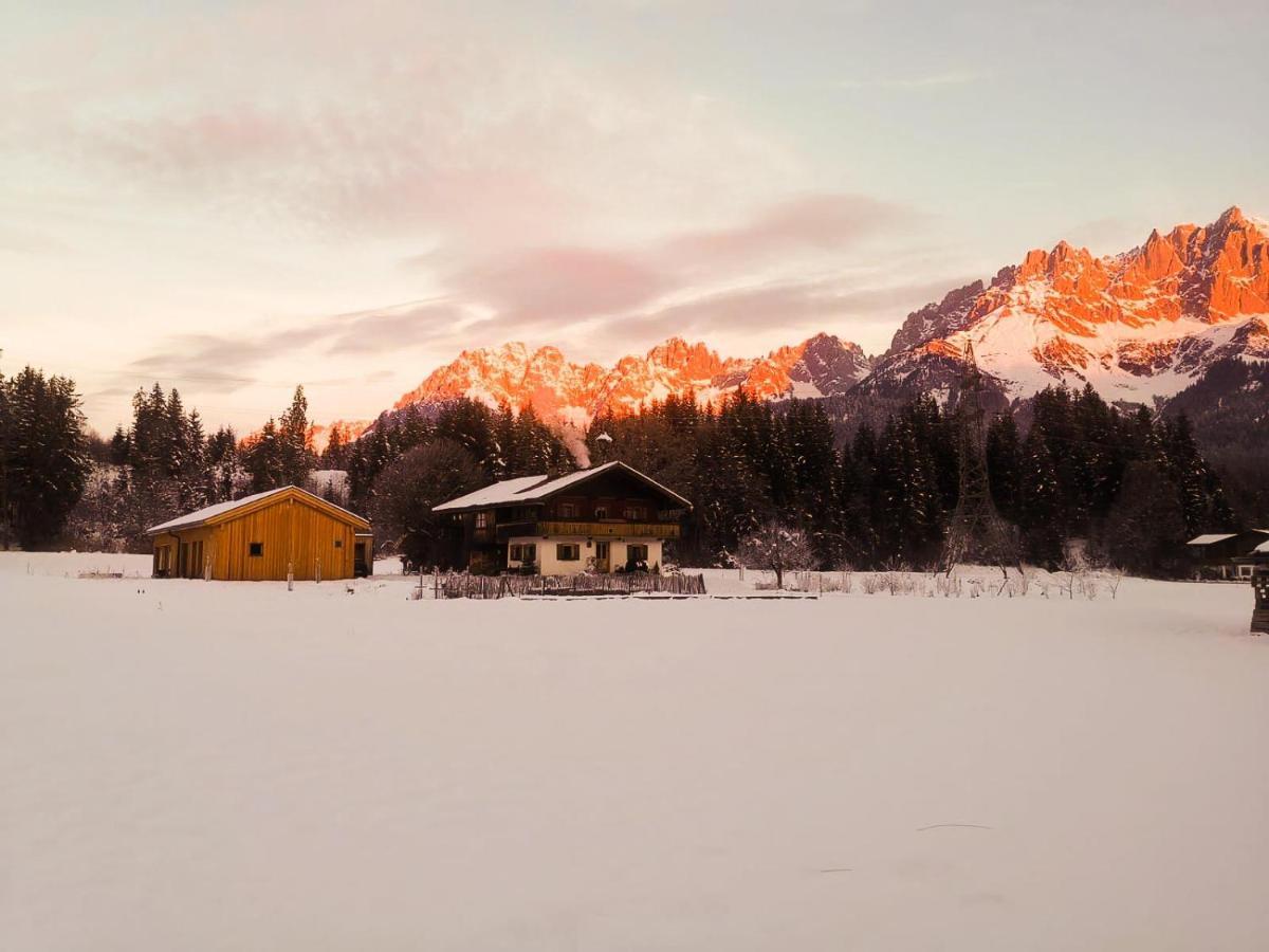 Going Artenreich Going am Wilden Kaiser Exterior foto