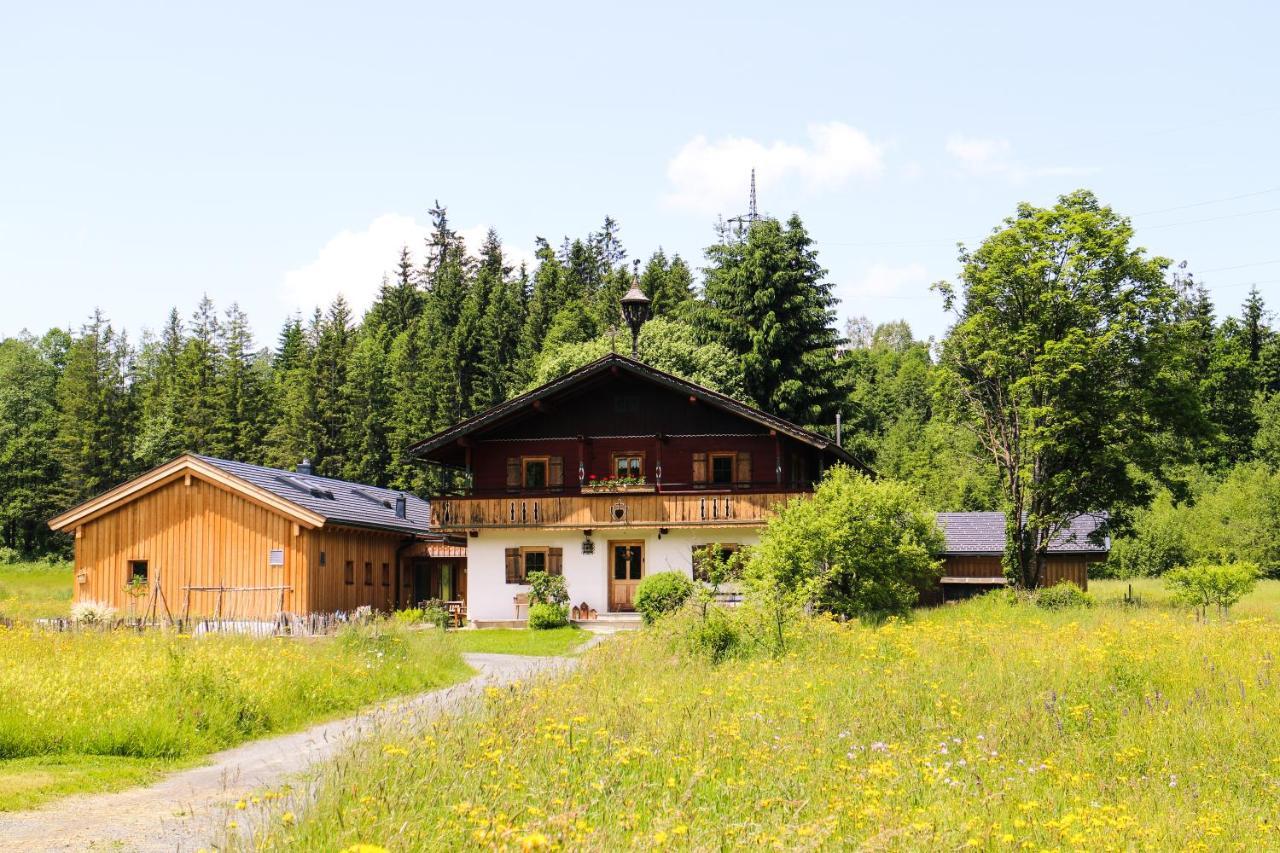 Going Artenreich Going am Wilden Kaiser Exterior foto